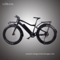 1000w BAFANG rear motor cheap electric bike fat tire for sale